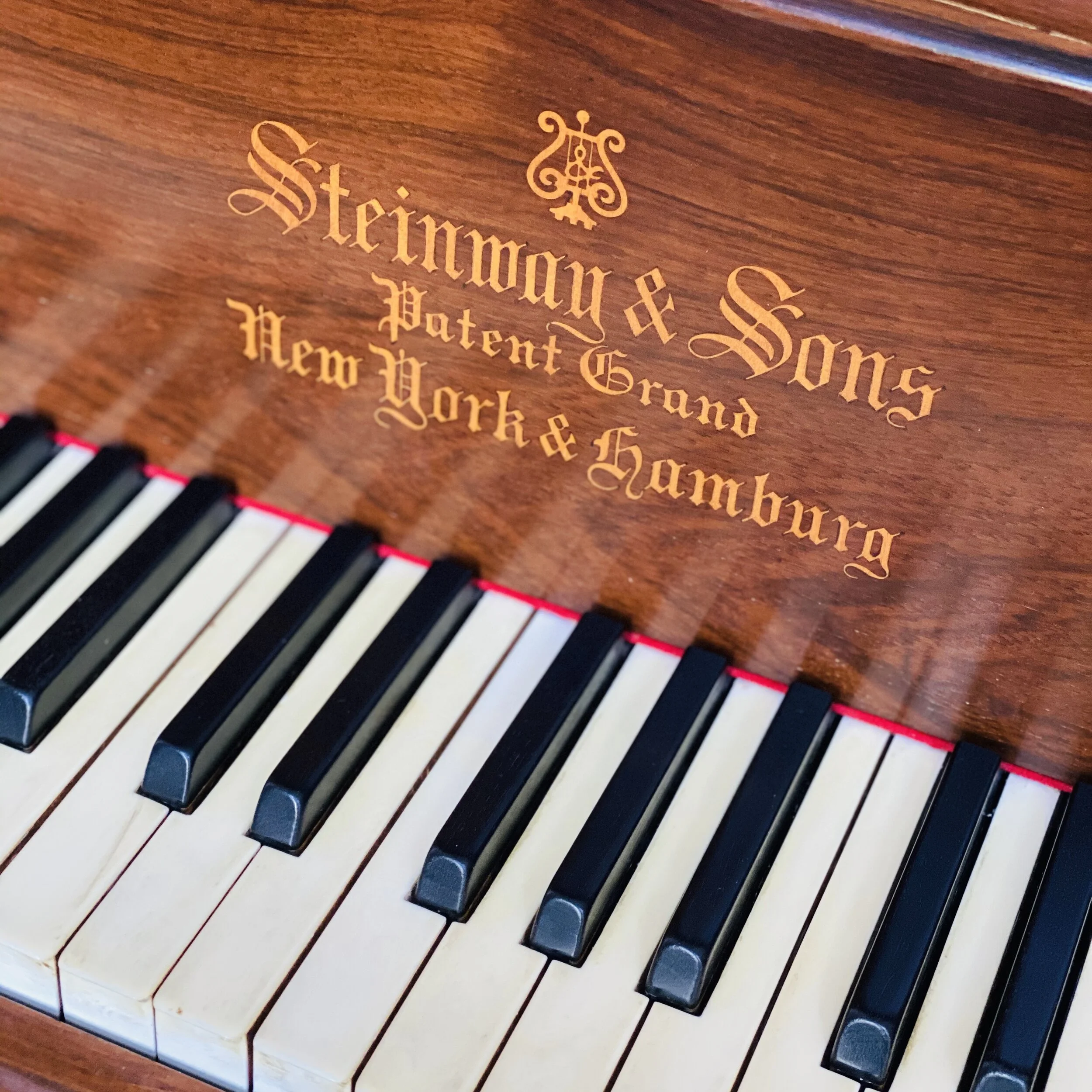 Close-up of piano keys, representing a digital piano keybed kept clean and dry